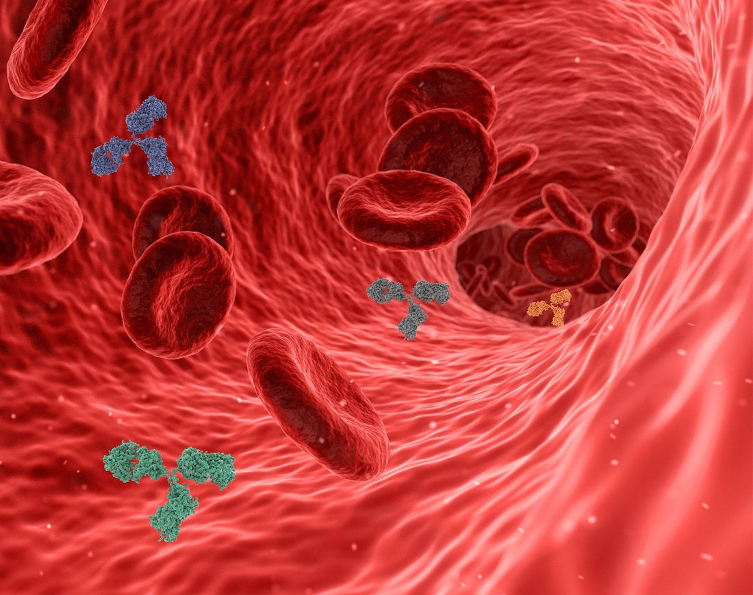 Unraveling the Science Behind Bug Bite Itchiness